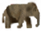 elephant1.png