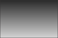 Blank Screen.png