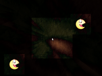 s.png