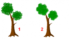 trees.PNG