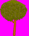 cool_tree.PNG