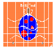 Beetle Tomb picture.GIF