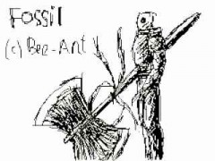 Fossil.jpg