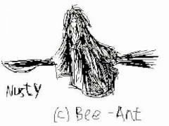 Nusty.jpg